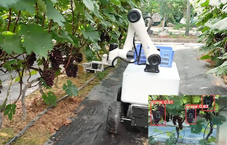 智能協作機器人,越疆協作機器人,智能協作機器人,協作機器人應用,越疆機器人,具身智能,人形機器人,Atom,焊接機器人,越疆焊接機器人-果蔬采摘總怕傷果？越疆協作機器人的“溫柔手”有妙招